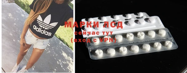 эйфоретик Богданович