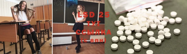 эйфоретик Богданович
