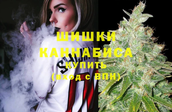 эйфоретик Богданович