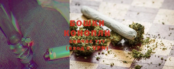 эйфоретик Богданович