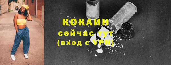 эйфоретик Богданович