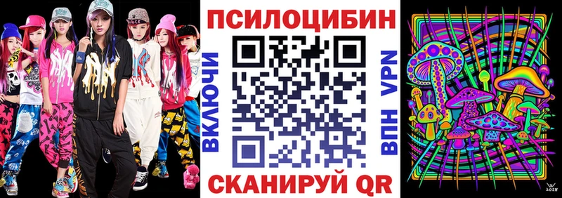 купить наркотик  Наволоки  Псилоцибиновые грибы Magic Shrooms 